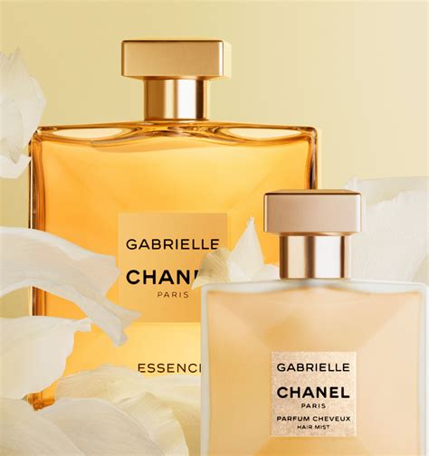 livre gabrielle chanel|gabrielle chanel l'eau.